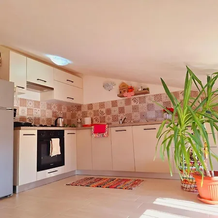 Apartman Goga Divsici